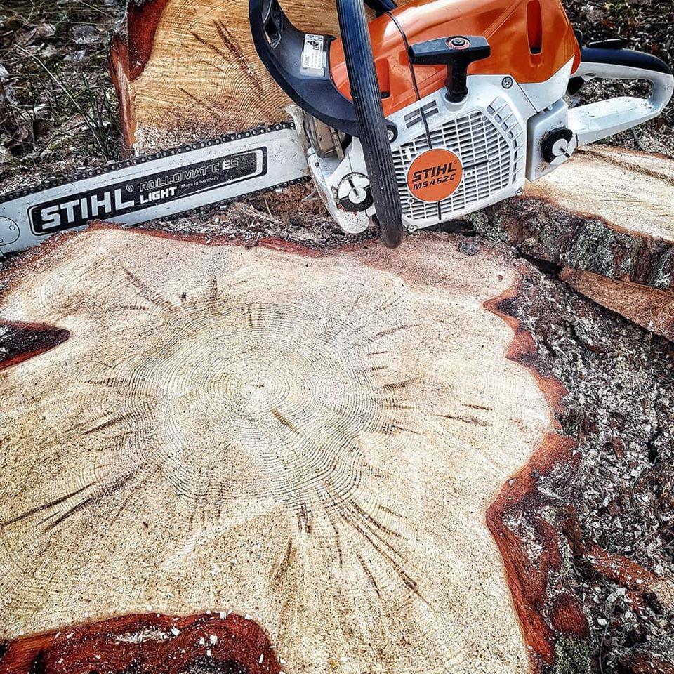 Arboristi eli puunhoitaja on rakennetun ympäristön puiden sekä puisto- ja maisemametsien hoidon ammattilainen.